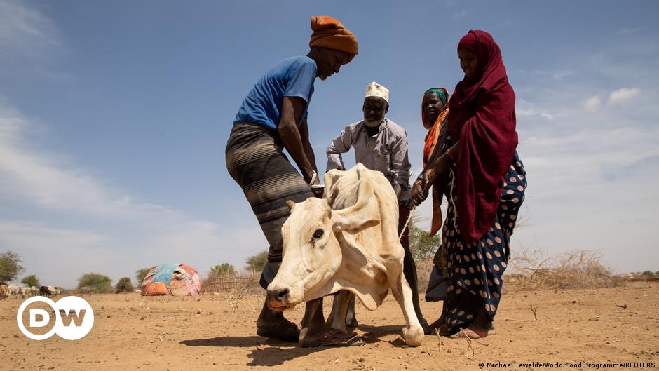 Schwere Dürre am Horn von Afrika