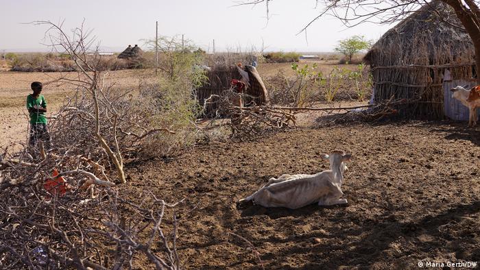 Äthiopien Somali Region | Dürre, Trockenheit | Hirtin
