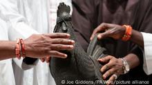 Looted bronze cockerel statue return. The looted Benin bronze cockerel, known as the Okukur, during a ceremony at Jesus College in Cambridge, where it will be returned to Nigeria. The Legacy of Slavery Working Party concluded that the statue, which was looted by British colonial forces in 1897 and given to Jesus College in 1905 by the father of a student, belongs with the current Oba at the Court of Benin. Picture date: Wednesday October 27, 2021. See PA story EDUCATION Bronze. Photo credit should read: Joe Giddens/PA Wire URN:63351547