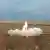 Запуск российской ракеты "Искандер-К"