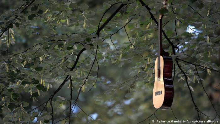 Eine Gitarre hängt am Baum