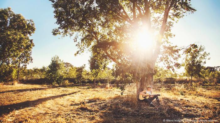 A person plays the guitar under a tree with the light shining through the tree.