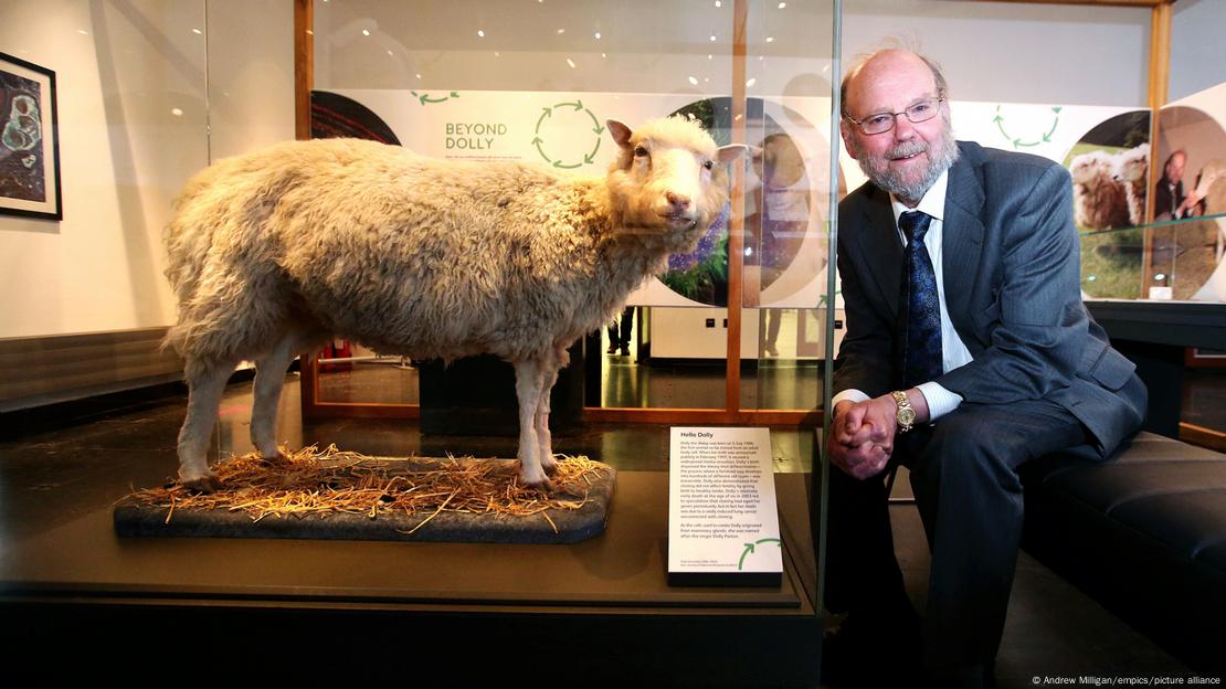 O embriologista britânico Professor Sir Ian Wilmut posa para foto com a ovelha Dolly empalhada