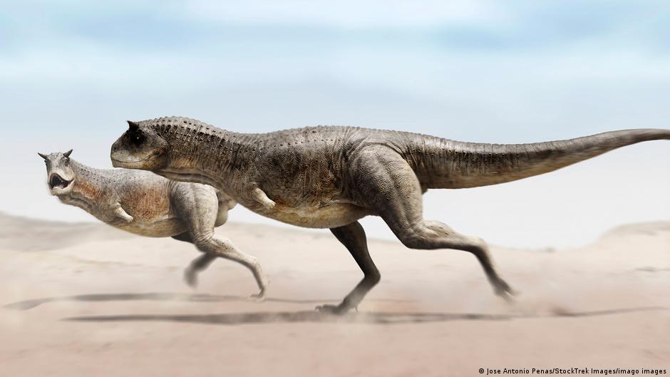 Científicos descubren en Argentina una nueva especie de dinosaurio 