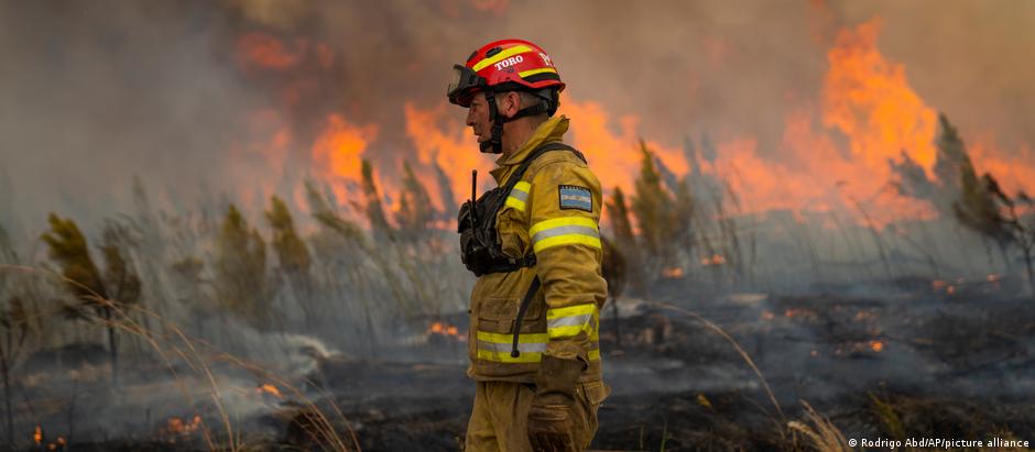 Governo argentino estima que os recentes incêndios causaram danos econômicos de cerca de US$ 184 milhões