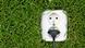 A power socket on a wall of grass A power socket on a wall of grass