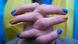 A woman with fingernails painted in blue and yellow, the colors of the Ukrainian flag, in front of the Russian embassy in Berlin (AP Photo/Markus Schreiber) A woman with fingernails painted in blue and yellow, the colors of the Ukrainian flag, in front of the Russian embassy in Berlin (AP Photo/Markus Schreiber)