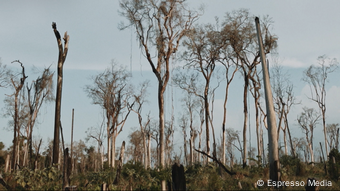 Documentação |  Das Herz Brasiliens - Kampf um den Regenwald 