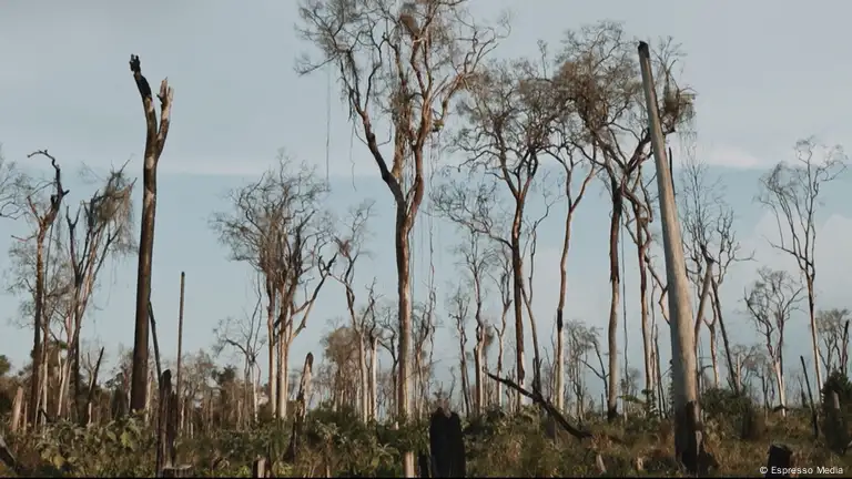 Do 04 Apr 19:30 EMPATE, a history of struggle and resistance in the heart  of the  rainforest