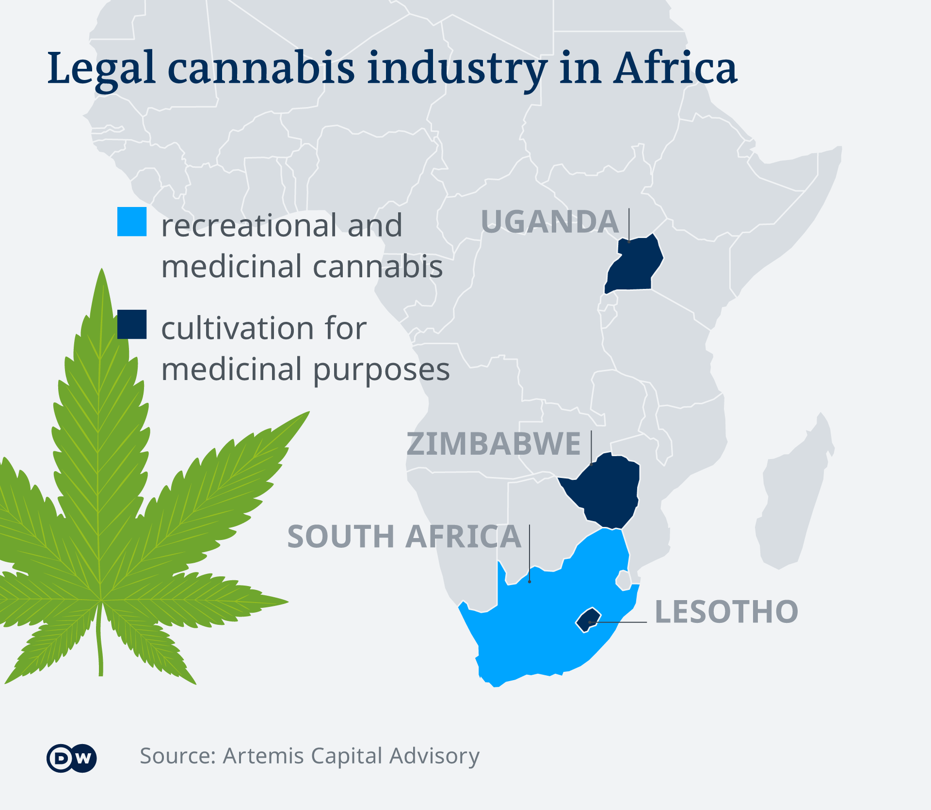 An infographic showing the legal cannabis indutries in Africa