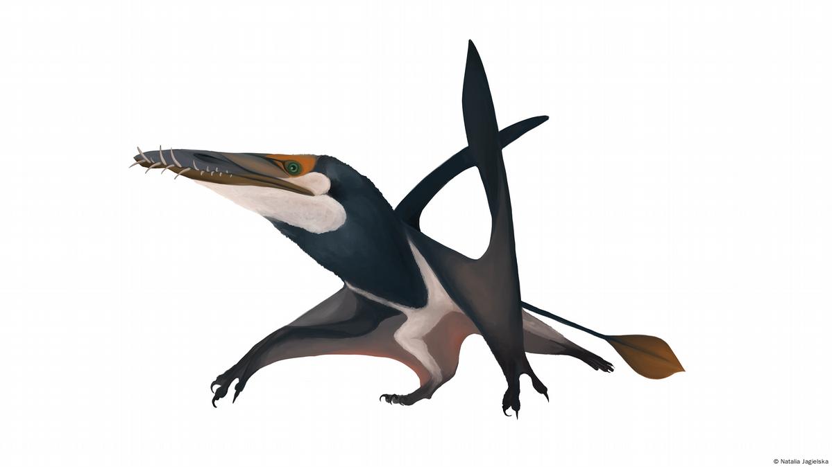 Pterosaur Facts – Amazing Flying Reptiles That Lived With Dinosaurs