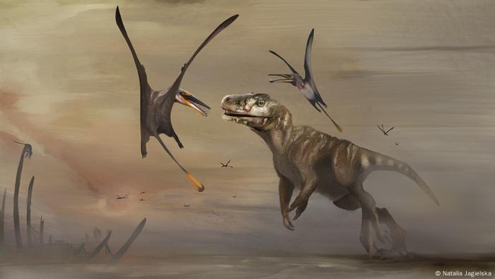pterosaur pterosaur