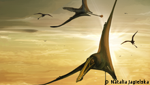 New Scotish Fossil
Skye Pterosaur Art 1 (credit Natalia Jagielska)
