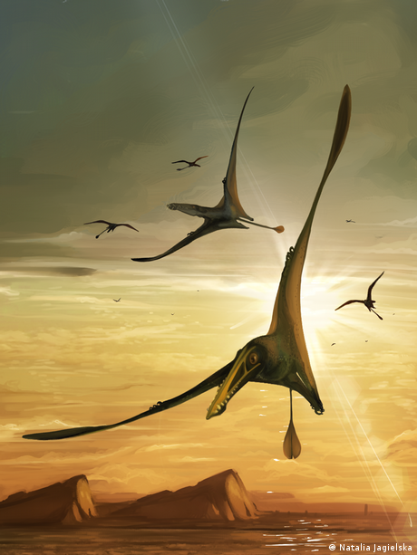Illustration by Natalia Jagielska of what pterodactyls could've looked like