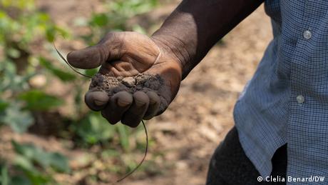 A man holding dirt in his hands