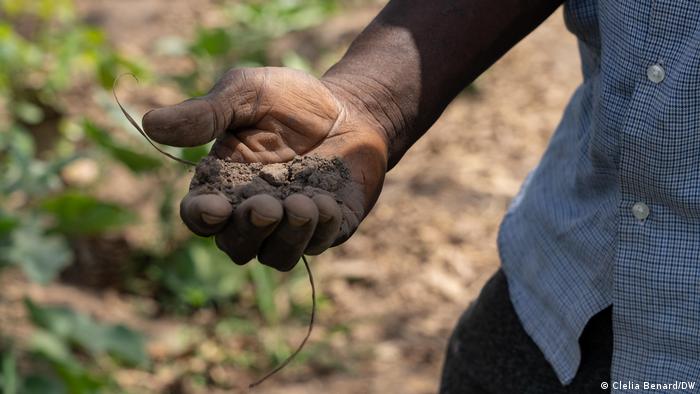 Les agriculteurs ivoiriens font partie des victimes de la sécheresse
