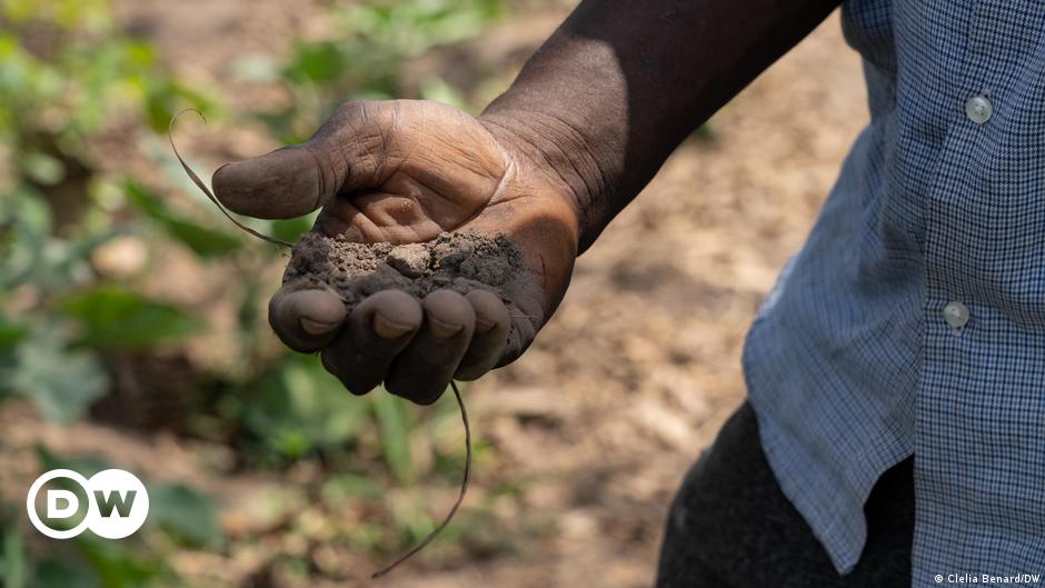 Landwirtschaft in der Elfenbeinküste: Mit Apps dem Klimawandel trotzen