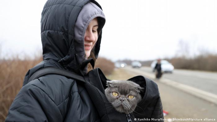 فتاة أوكرانية مع قطتها في طريقها إلى المعبر الحدودي مع بولندا