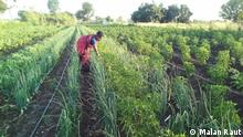 Farmer checking on saplings in her organic farm
Copyright: Malan Raut
