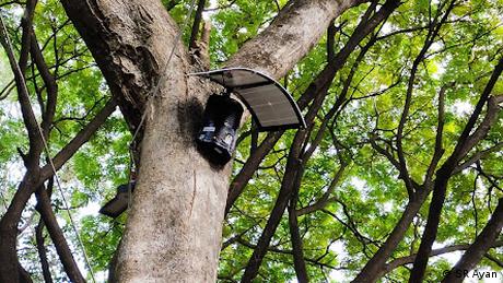 A monkey-repelling machine attached to a tree