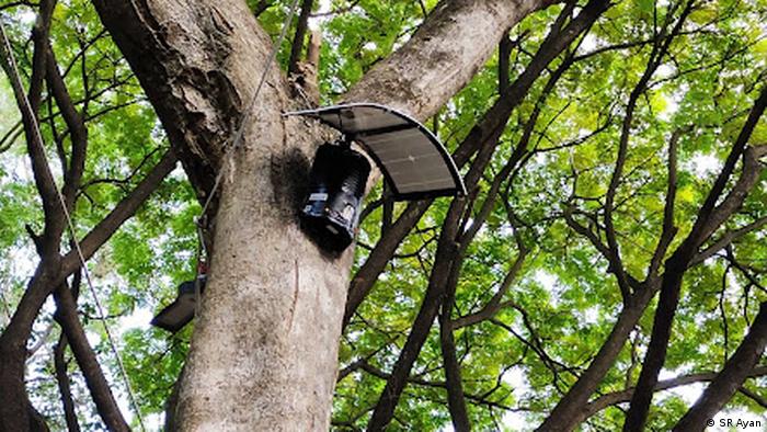 A monkey-repelling machine attached to a tree