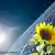 Sonnenblume, Solarenergie im Hintergrund (Foto: Fotolia/Franz Metelec