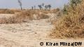 An empty field with low, dry bushes that serves as a graveyard of honor killing victims in Sindh, Pakistan