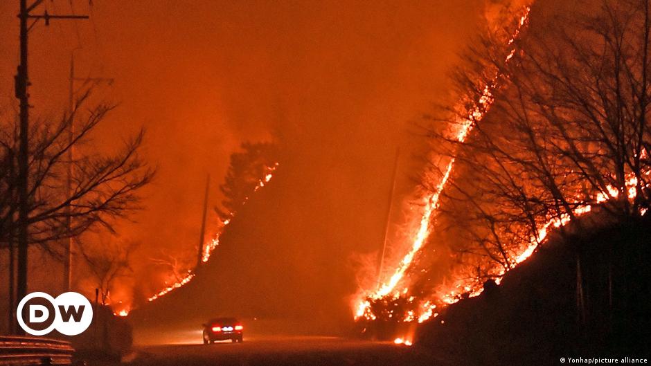 한국 : 산불이 대량 피난을 일으킨다 | 뉴스 | DW
