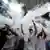 Fans at a basketball game in the US throw talcum powder in celebration
