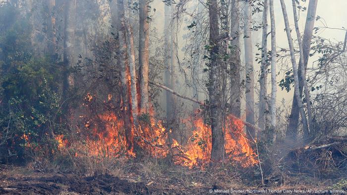 Fires burning in Panama City