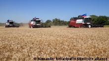 Ukraine Getreide Weizenanbau