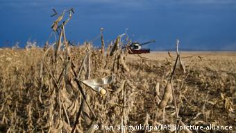 Russland Getreide Weizenanbau