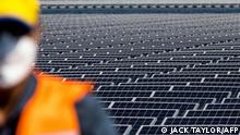 أزمة الطاقة تعيد الاهتمام بصناعة الطاقة الشمسية في ألمانيا