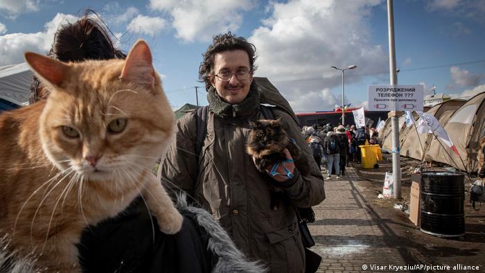 Біженці з України з котами, кордон з Польщею