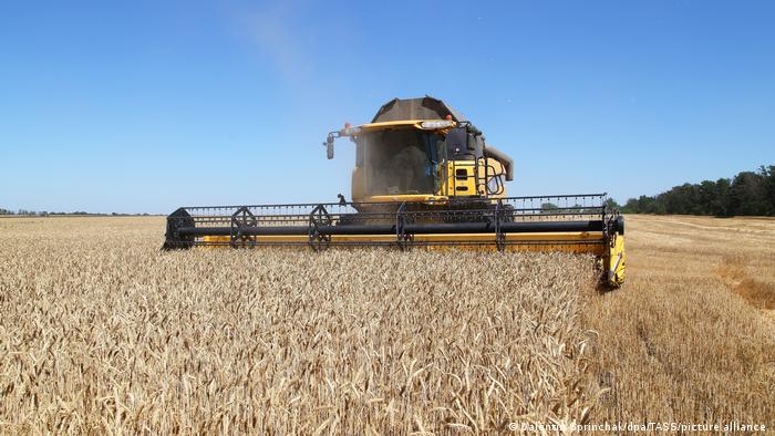 Сбор урожая пшеницы в Донецкой области