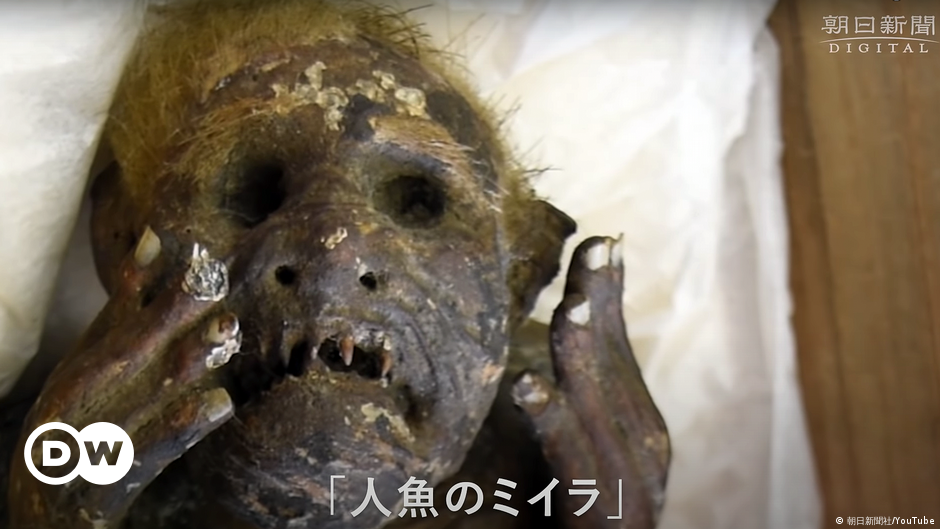 Scientists are trying to unravel the mystery of the ‘mermaid’ mummy in Japan, a mixture of monkeys and fish |  Science and Ecology |  Dr..