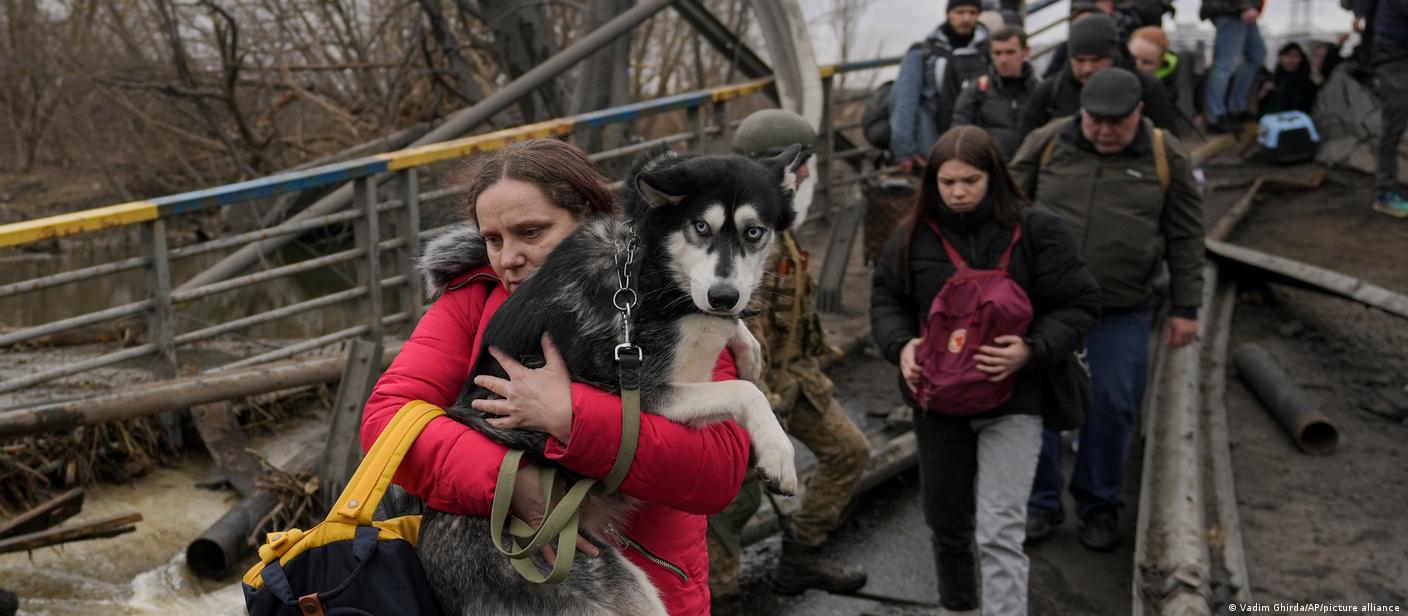 Aid groups in Ukraine help animals in danger – DW – 03/17/2022