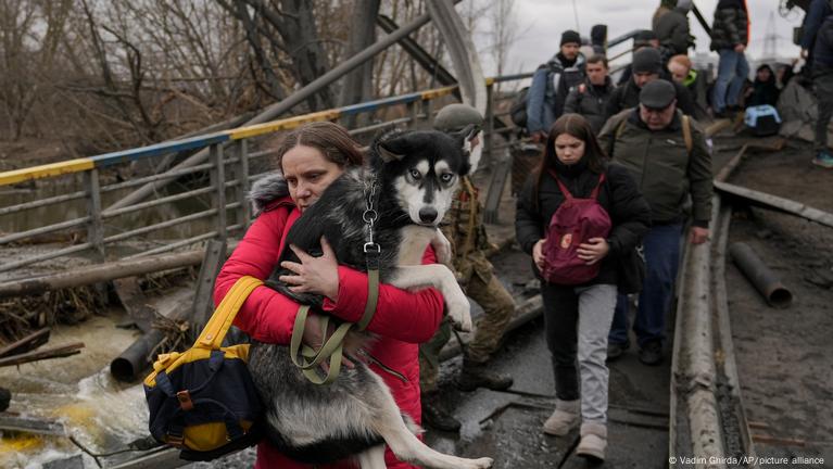 Aid Groups In Ukraine Help Animals In Danger DW 03 17 2022   61158559 604 