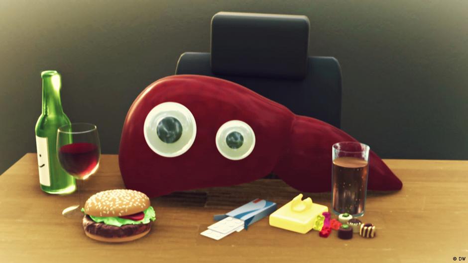 What does the liver do? – DW – 09