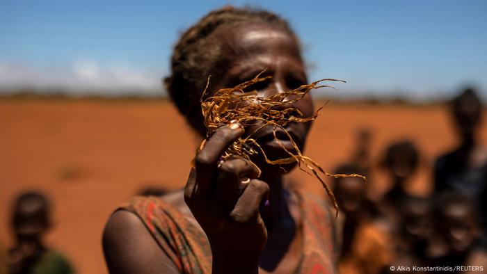 A woman holding part of a dead corn plant in Madagascar