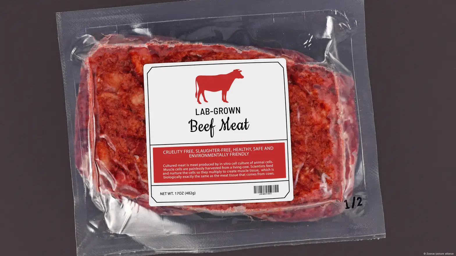 What is lab-grown meat? How it's made, environmental impact and