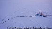 معهد ألماني: الطحالب القطبية ملوثة بالبلاستيك الدقيق