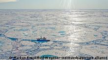 Das Handout des Alfred-Wegener-Instituts zeigt das deutsche Forschungsschiff «Polarstern» am 30.06.2020 bei der «Mosaic»-Scholle. (zu dpa «Polarstern» kehrt nach einjähriger Arktis-Expedition zurück) +++ dpa-Bildfunk +++