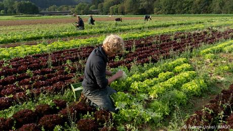 Warum junge Deutsche keine Lust auf Landwirtschaft haben