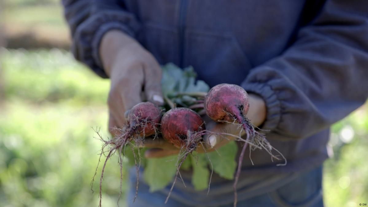 does china use human waste as fertilizer