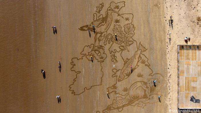 Spektakularni crtež u pesku privlači pažnju šetača na plaži u Skarborou. Delo ima za cilj da skrene pažnju na nestanak velikog broja vrsta i ugroženu raznolikost prirode u Velikoj Britaniji.