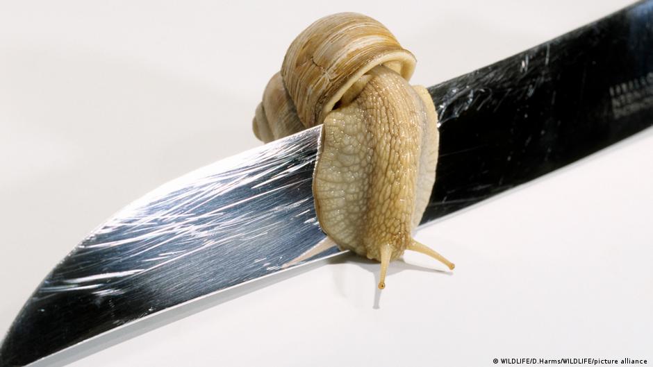 German idioms from the kitchen cupboard DW 08/24/2022