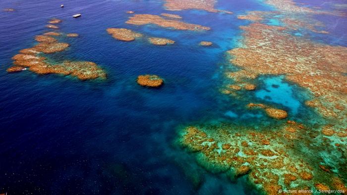 الحاجز المرجاني العظيم في استراليا