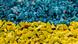 Цветовете на украинския флаг Цветовете на украинския флаг
