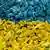 Цветовете на украинския флаг